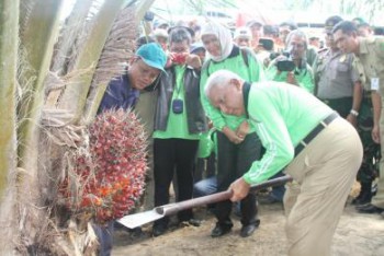 Perusahaan Perkebunan Wajib Berikan Golden Share untuk Rakyat